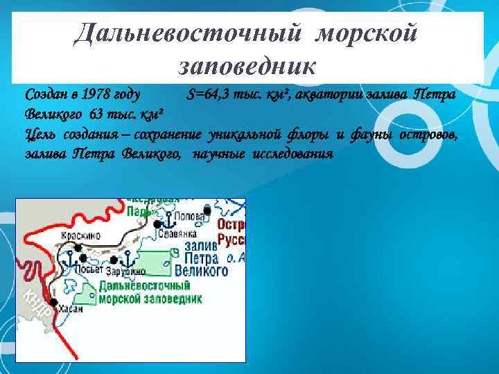 Дальневосточный морской заповедник Создан в 1978 году S=64, 3 тыс. км², акватории залива Петра