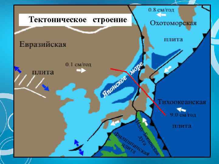 Тектоническое строение 