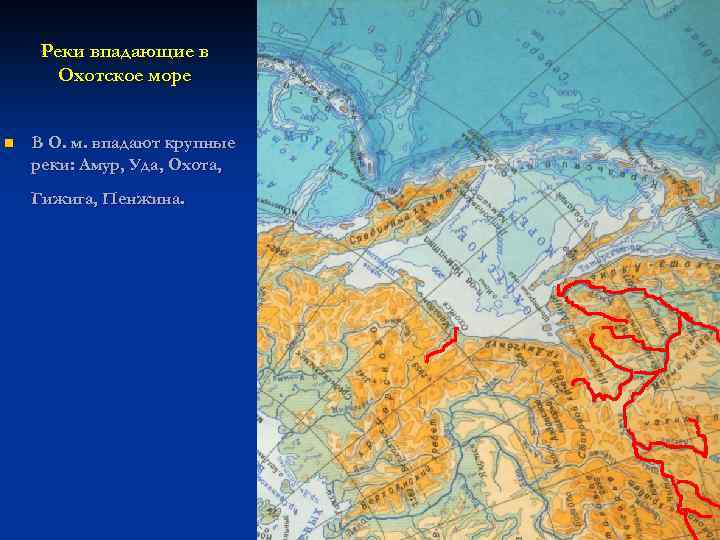Реки впадающие в Охотское море n В О. м. впадают крупные реки: Амур, Уда,