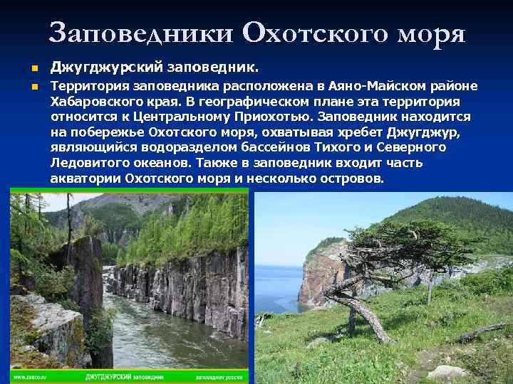 Природные ресурсы охотского моря