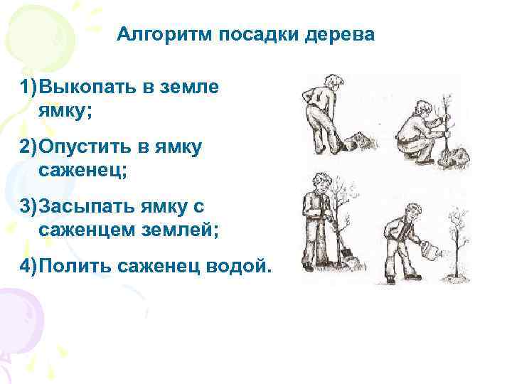 Алгоритм посадки дерева 1) Выкопать в земле ямку; 2) Опустить в ямку саженец; 3)