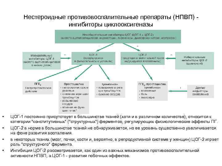 Нестероидные противовоспалительные препараты (НПВП) ингибиторы циклооксигеназы • • ЦОГ-1 постоянно присутствует в большинстве тканей