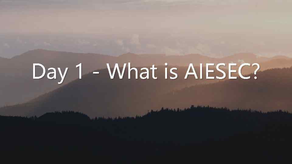 Day 1 - What is AIESEC? 