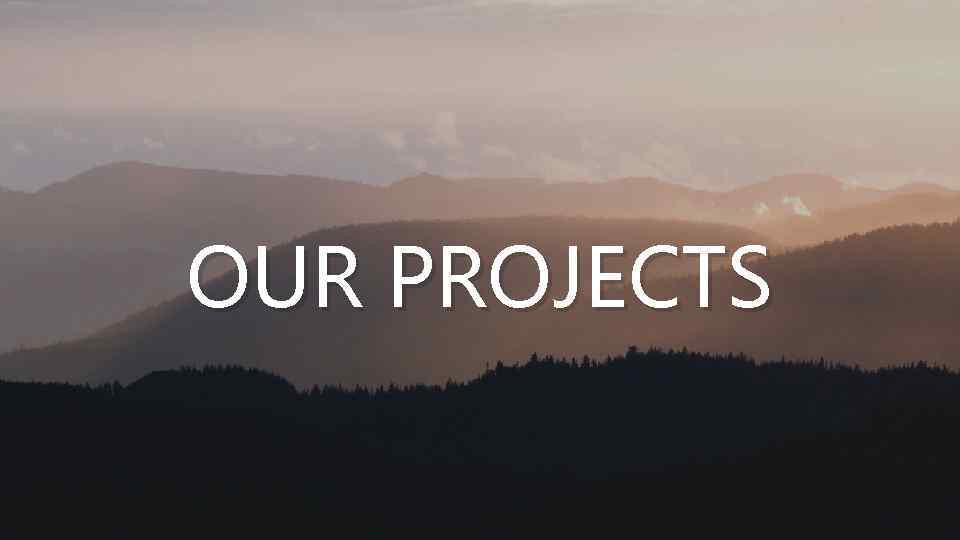 OUR PROJECTS 