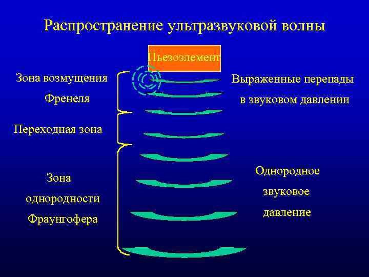 Распространение ультразвуковой волны Пьезоэлемент Зона возмущения Френеля Выраженные перепады в звуковом давлении Переходная зона