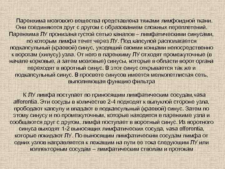 Паренхима мозгового вещества представлена тяжами лимфоидной ткани. Они соединяются друг с другом с образованием