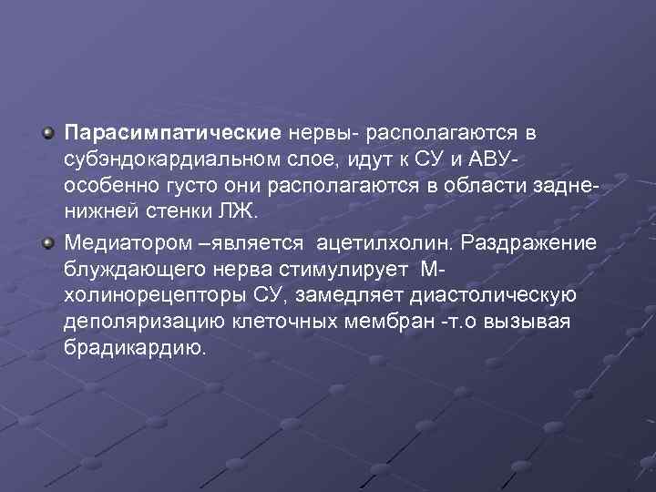 Парасимпатические нервы- располагаются в субэндокардиальном слое, идут к СУ и АВУособенно густо они располагаются