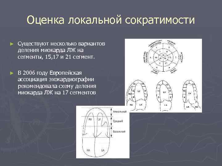 Эхокардиография в таблицах и схемах рыбакова митьков