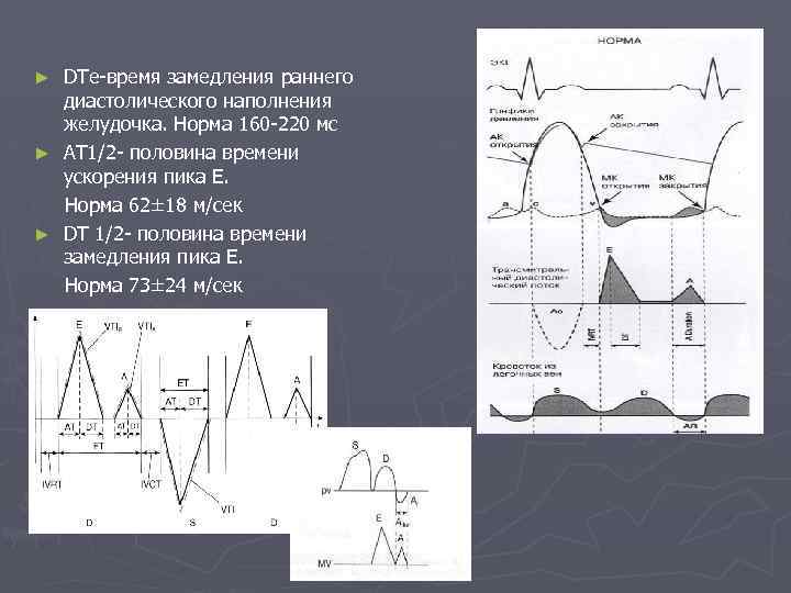 Рыбакова эхокардиография в таблицах и схемах