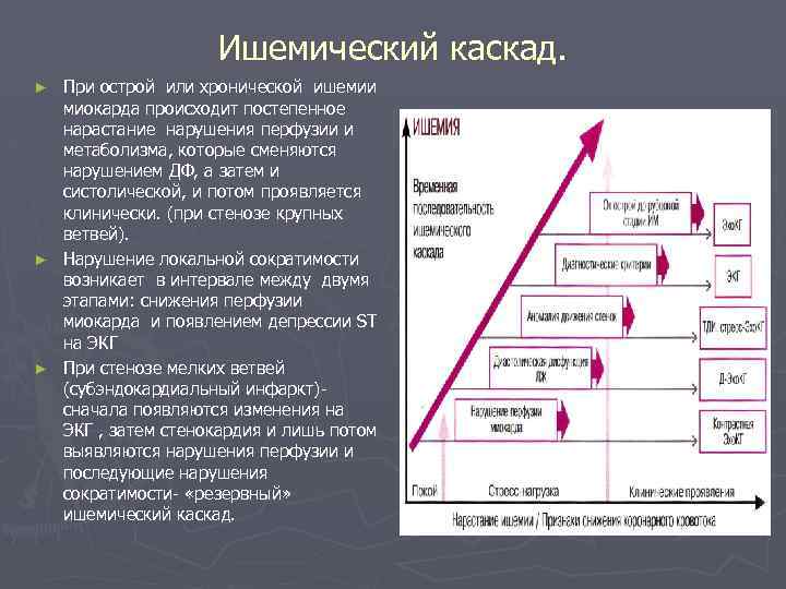 Ишемический каскад. При острой или хронической ишемии миокарда происходит постепенное нарастание нарушения перфузии и