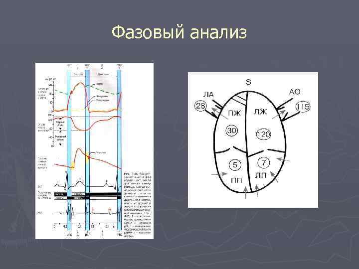 Фазовый анализ 