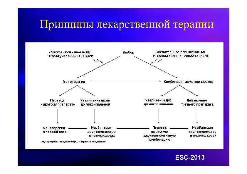 Принципы лекарственной терапии ESC-2013 