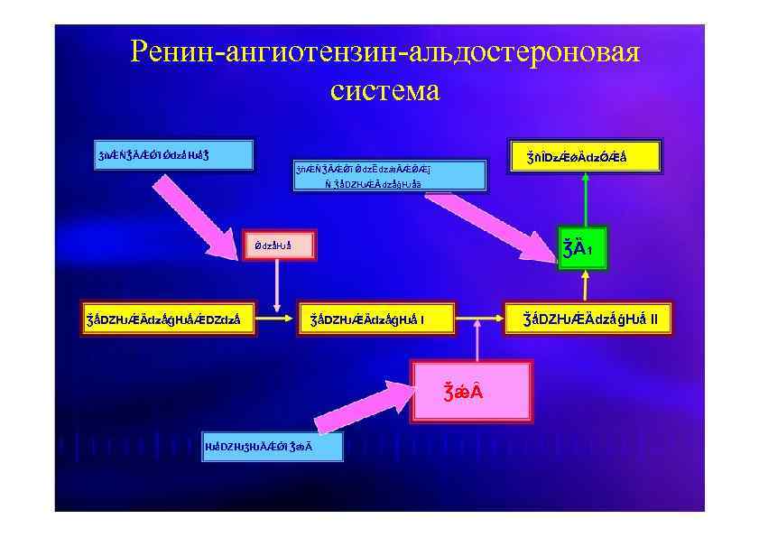 Ренин ангиотензиновая система схема