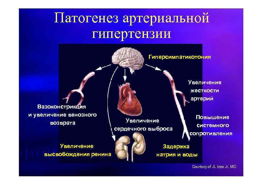 Климактерическая артериальная гипертензия этиология патогенез клиническая картина лечение