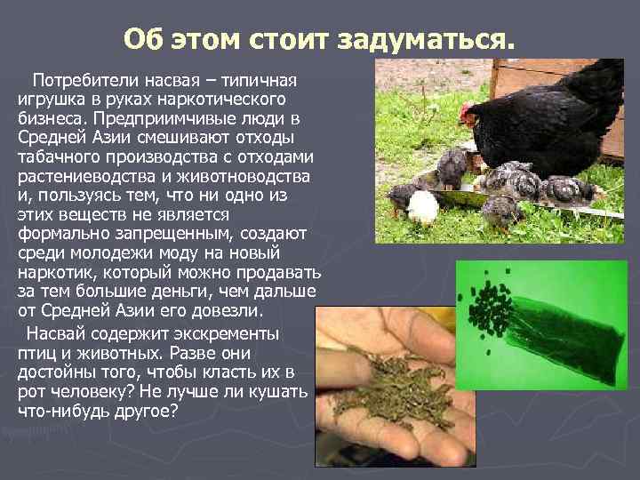 Об этом стоит задуматься. Потребители насвая – типичная игрушка в руках наркотического бизнеса. Предприимчивые