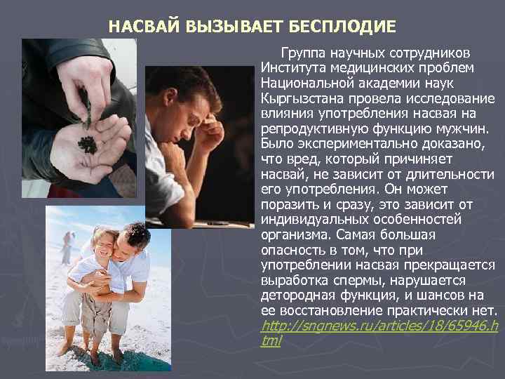 НАСВАЙ ВЫЗЫВАЕТ БЕСПЛОДИЕ Группа научных сотрудников Института медицинских проблем Национальной академии наук Кыргызстана провела