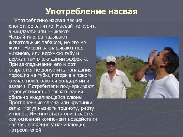 Употребление насвая весьма хлопотное занятие. Насвай не курят, а «кидают» или «чикают» . Насвай