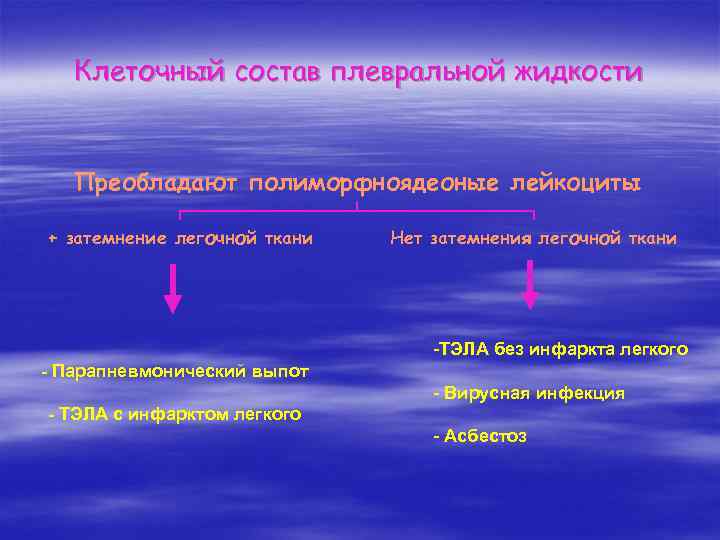 Клеточный состав плевральной жидкости Преобладают полиморфноядеоные лейкоциты + затемнение легочной ткани Нет затемнения легочной