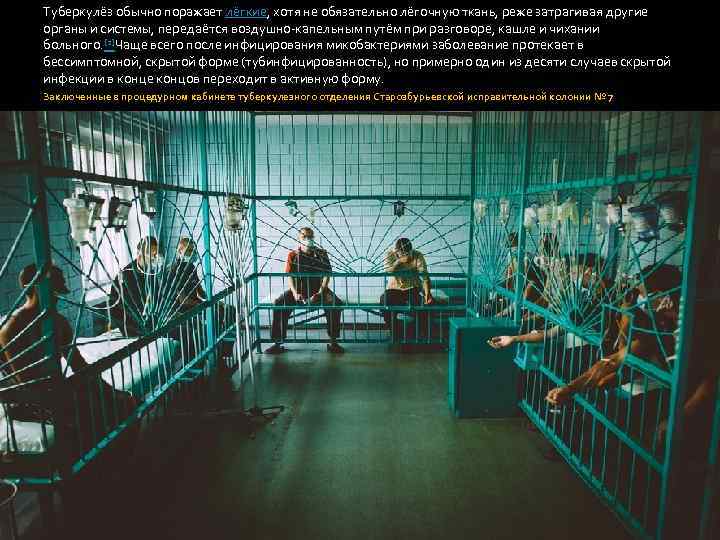 Туберкулёз обычно поражает лёгкие, хотя не обязательно лёгочную ткань, реже затрагивая другие органы и