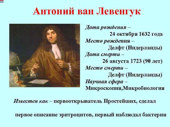 Антоний ван Левенгук Дата рождения – 24 октября 1632 года Место рождения – Делфт