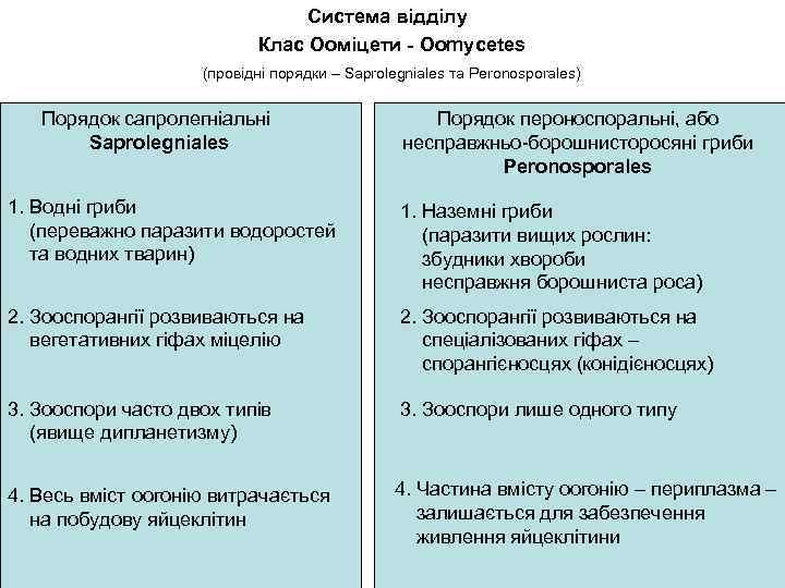 Система відділу Клас Ооміцети - Oomycetes (провідні порядки – Saprolegniales та Peronosporales) Порядок сапролегніальні