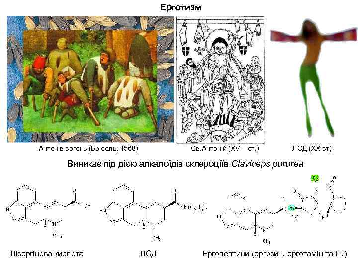 Ерготизм Антонів вогонь (Брюель, 1568) Св. Антоній (ХVIII ст. ) ЛСД (ХХ ст). Виникає