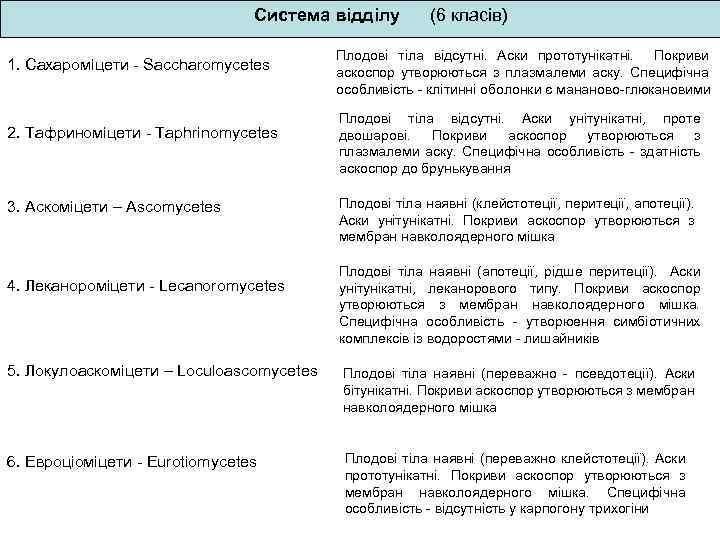 Система відділу 1. Сахароміцети - Saccharomycetes 2. Тафриноміцети - Taphrinomycetes 3. Аскоміцети – Ascomycetes