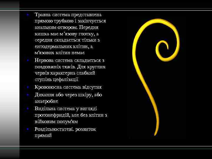  • • • Травна система представлена прямою трубкою і закінчується анальним отвором. Передня