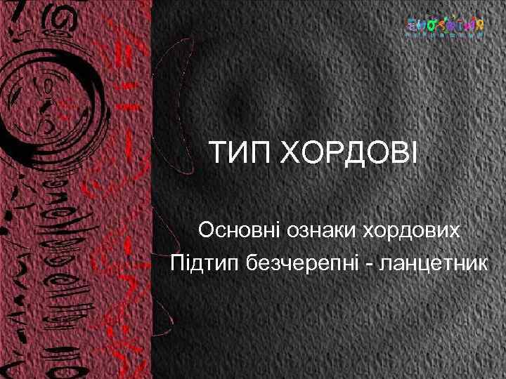 ТИП ХОРДОВІ Основні ознаки хордових Підтип безчерепні - ланцетник 