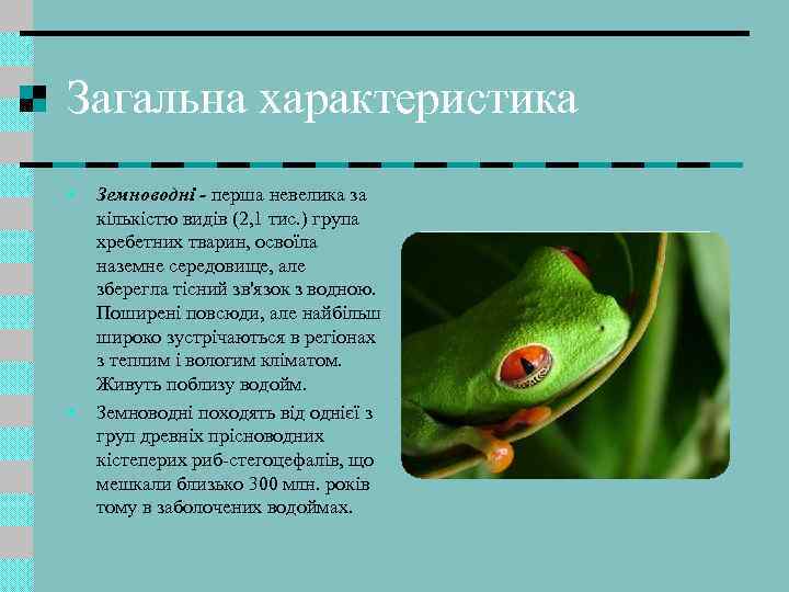 Загальна характеристика • • Земноводні - перша невелика за кількістю видів (2, 1 тис.