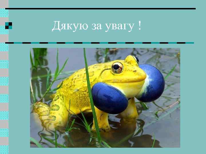 Дякую за увагу ! 