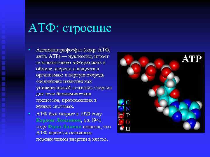 Входит в состав атф элемент