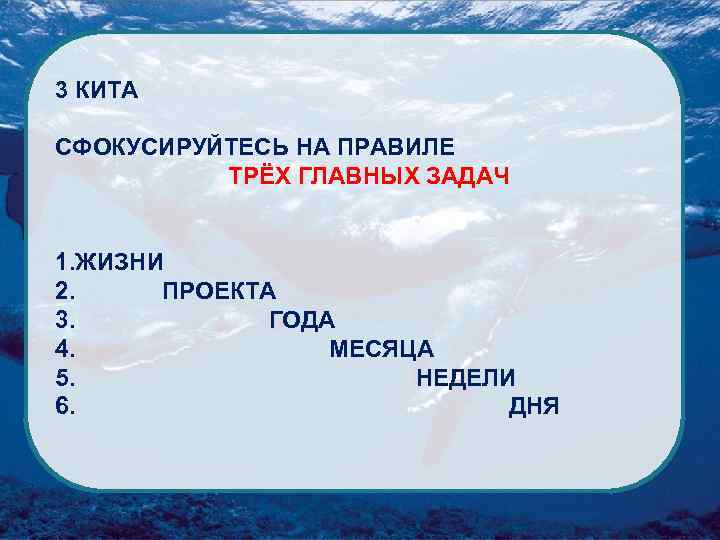 3 КИТА СФОКУСИРУЙТЕСЬ НА ПРАВИЛЕ ТРЁХ ГЛАВНЫХ ЗАДАЧ 1. ЖИЗНИ 2. ПРОЕКТА 3. ГОДА