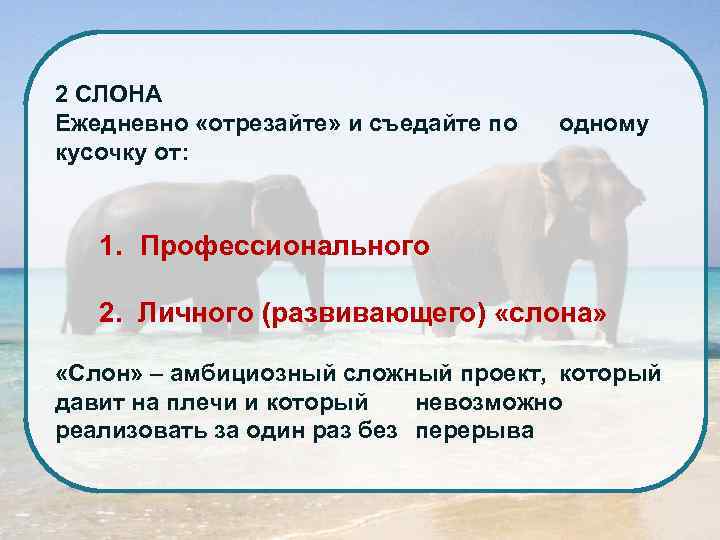 2 СЛОНА Ежедневно «отрезайте» и съедайте по кусочку от: одному 1. Профессионального 2. Личного