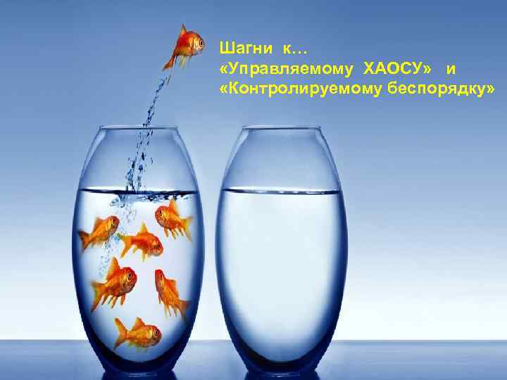 Шагни к… «Управляемому ХАОСУ» и «Контролируемому беспорядку» 