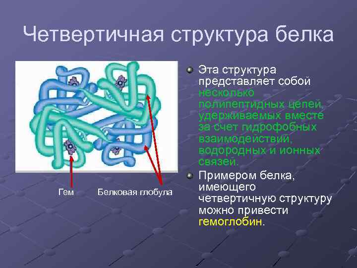 Четвертичная структура белка. Четвертичная структура белка глобула. Четвертичная структура белков. Четвертичная структура белка связи. Четвертичная структура белка представляет собой.