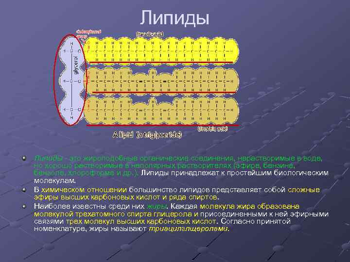 Биохимия клетки