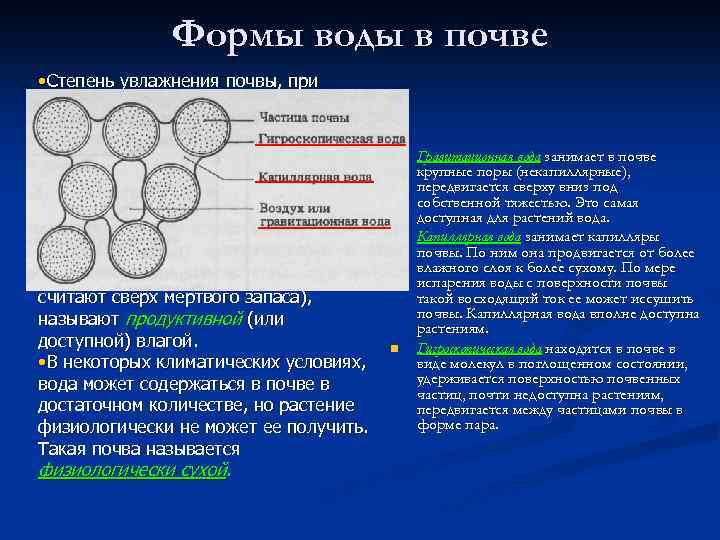 Формы воды в почве • Степень увлажнения почвы, при которой растения начинают завядать, от