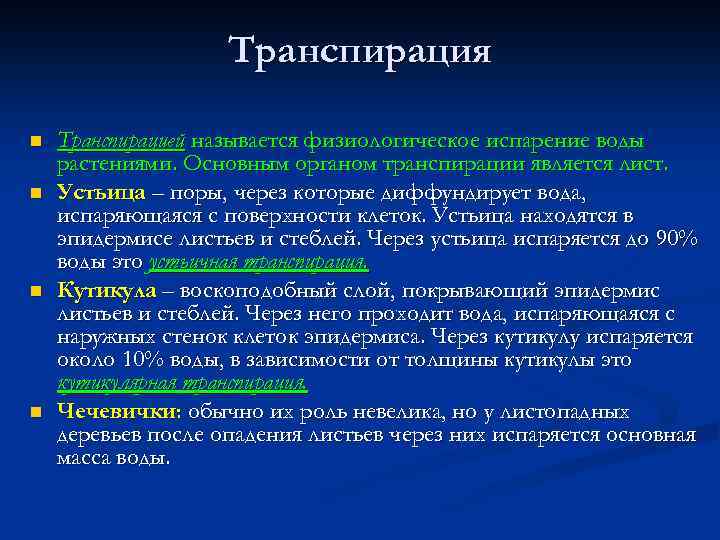 Транспирация n n Транспирацией называется физиологическое испарение воды растениями. Основным органом транспирации является лист.