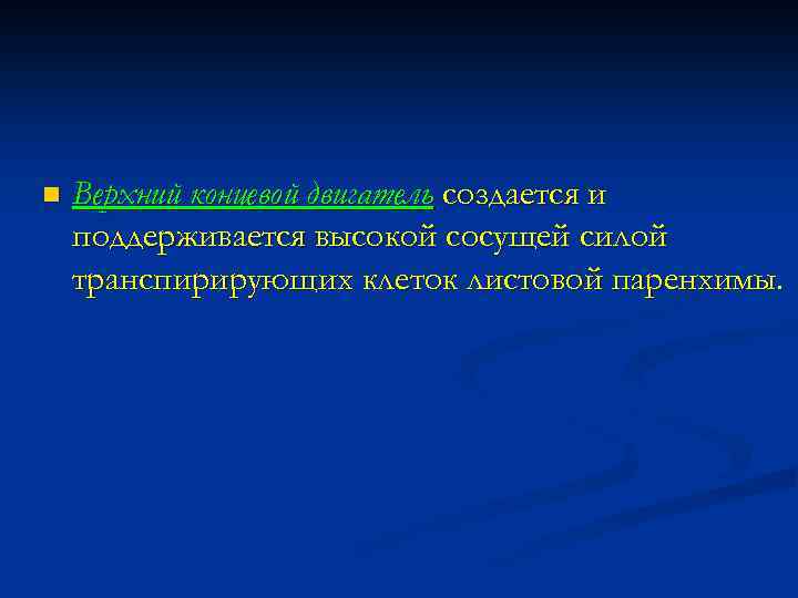 n Верхний концевой двигатель создается и поддерживается высокой сосущей силой транспирирующих клеток листовой паренхимы.