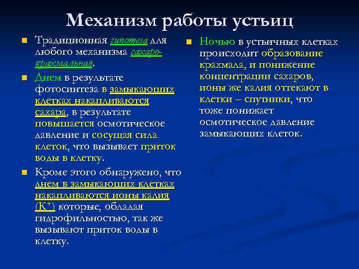 Механизм работы устьиц n n n Традиционная гипотеза для любого механизма сахарокрахмальная. Днем в