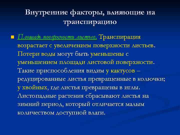 Внутренние факторы, влияющие на транспирацию n Площадь поверхности листьев. Транспирация возрастает с увеличением поверхности