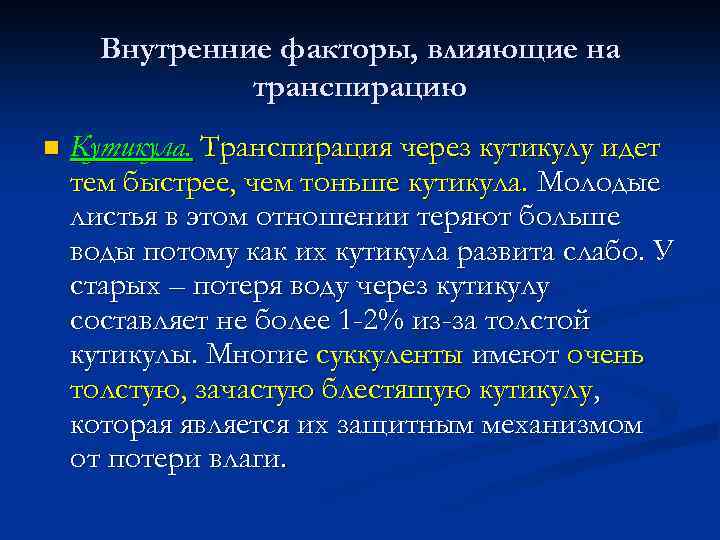 Внутренние факторы, влияющие на транспирацию n Кутикула. Транспирация через кутикулу идет тем быстрее, чем