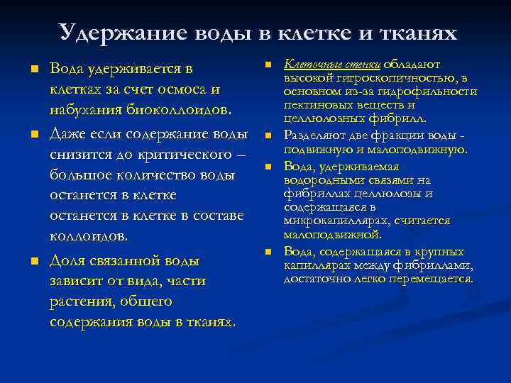 Удержание воды в клетке и тканях n n n Вода удерживается в клетках за