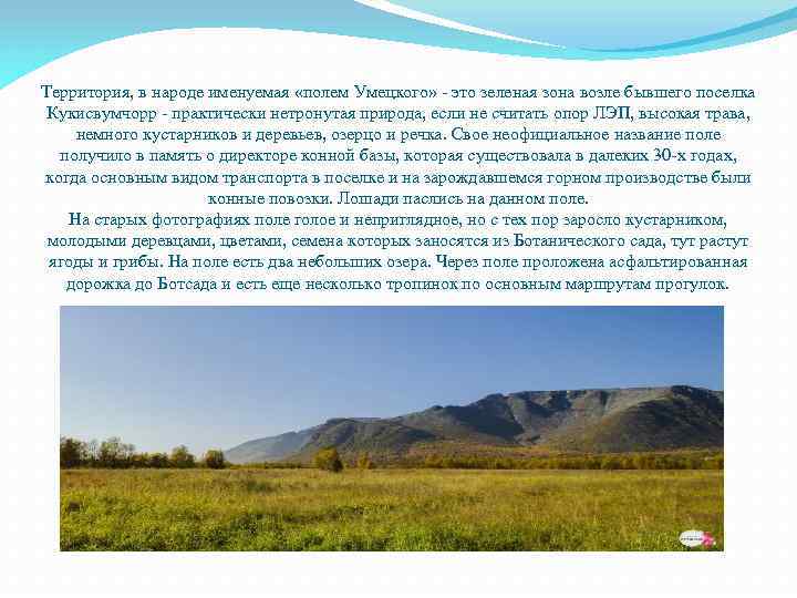 Территория, в народе именуемая «полем Умецкого» - это зеленая зона возле бывшего поселка Кукисвумчорр