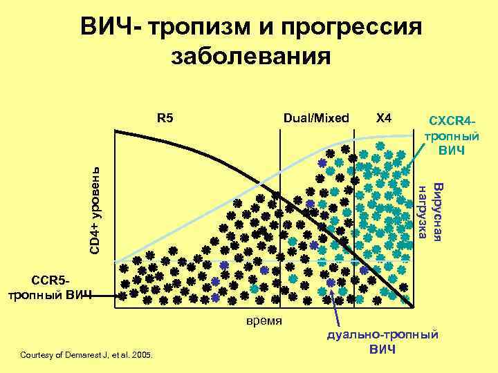 ВИЧ- тропизм и прогрессия заболевания Dual/Mixed X 4 CXCR 4 тропный ВИЧ Вирусная нагрузка