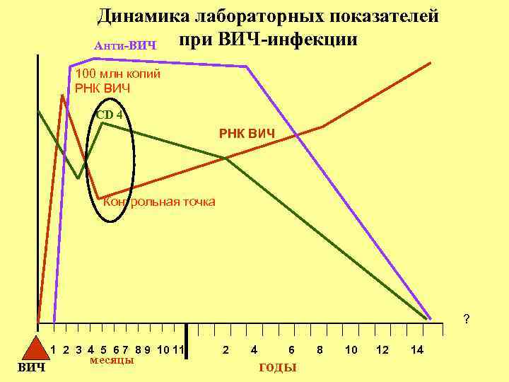 Динамика лабораторных показателей при ВИЧ-инфекции Анти-ВИЧ 100 млн копий РНК ВИЧ CD 4 РНК