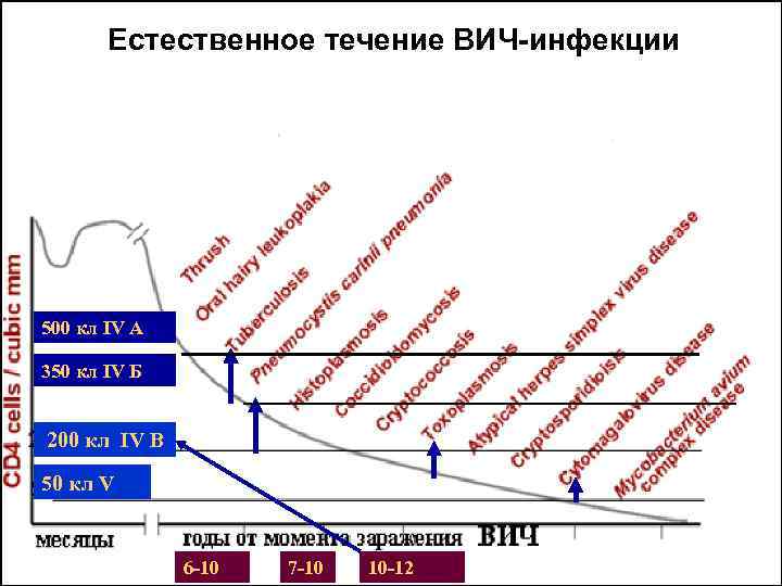 Естественное течение ВИЧ-инфекции 500 кл IV А 350 кл IV Б 200 кл IV