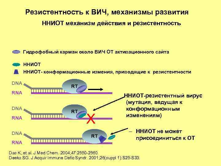 Резистентность к ВИЧ, механизмы развития ННИОТ механизм действия и резистентность Гидрофобный карман около ВИЧ