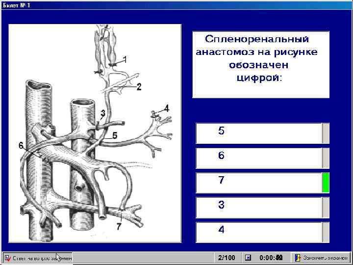 2/100 50 51 0: 00: 52 49 